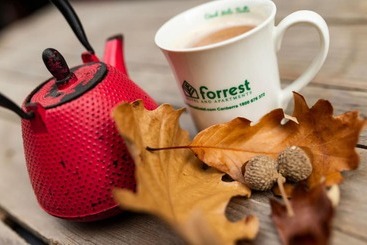Forrest Hotel & Apartments