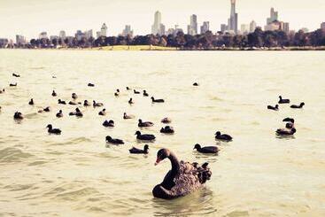 هتل Mercure Melbourne Albert Park