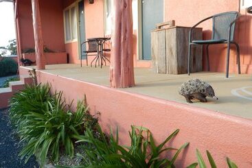 هتل Swansea Motor Inn Tasmania