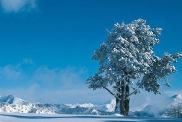 هتل Arinsal