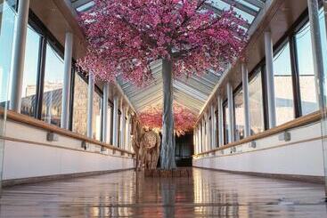هتل Sheraton Bariloche