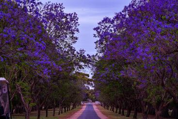 مُتل Renmark Country Club