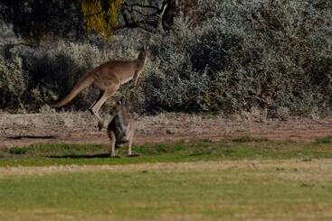 مُتل Renmark Country Club