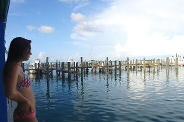 هتل Bimini Big Game Club Resort & Marina