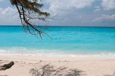 هتل Bimini Big Game Club Resort & Marina