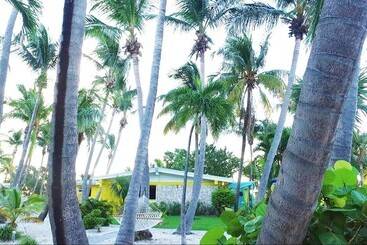 هتل Bimini Big Game Club Resort & Marina