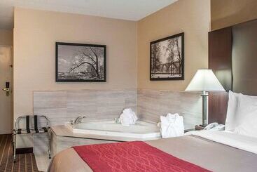 هتل Comfort Inn