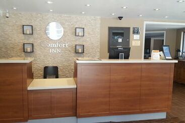 هتل Comfort Inn Toronto North