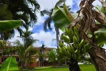 هتل Orange Hill Beach Inn