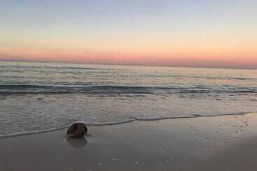 هتل Orange Hill Beach Inn