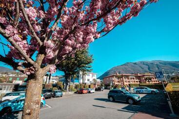 Hotel Ascona Lodge, Pool & Garden Retreat