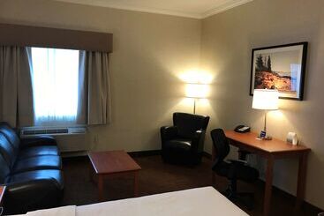 هتل Best Western Thunder Bay Crossroads