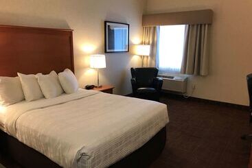 هتل Best Western Thunder Bay Crossroads