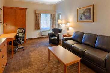 هتل Best Western Thunder Bay Crossroads