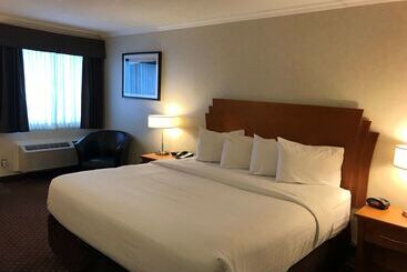 هتل Best Western Thunder Bay Crossroads