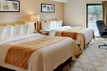 هتل Comfort Inn