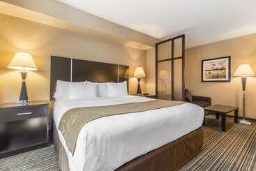 هتل Comfort Suites Downtown