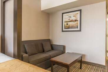 هتل Comfort Suites Downtown