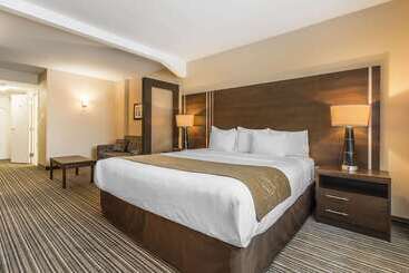 هتل Comfort Suites Downtown
