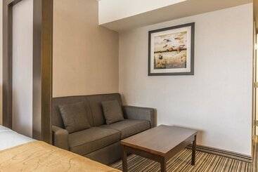 هتل Comfort Suites Downtown