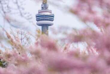هتل Park Hyatt Toronto