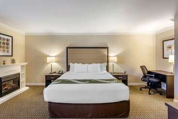 בית מלון כפרי Quality Inn Airport West