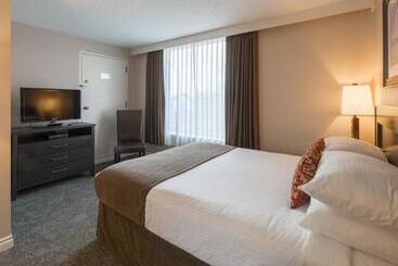 酒店 The Embassy Inn