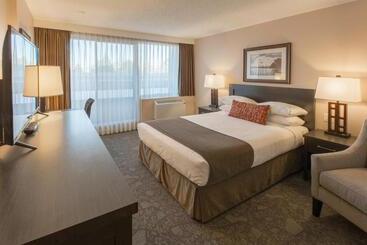 酒店 The Embassy Inn