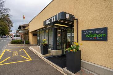 酒店 Waldhorn