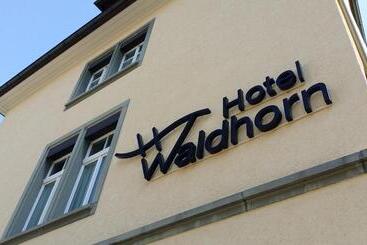 酒店 Waldhorn