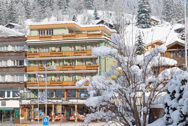 호텔 Central Wolter   Grindelwald