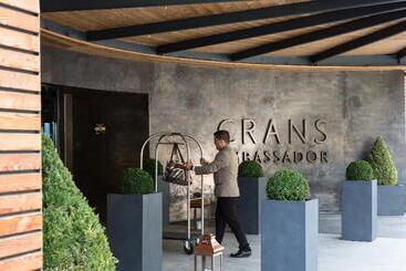 هتل Crans Ambassador