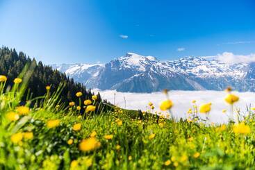 H+ Hotel & Spa Engelberg