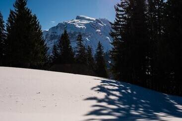 H+ Hotel & Spa Engelberg