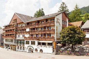 هتل Hirschen Wildhaus