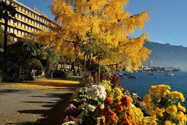Hotel Royal Plaza Montreux