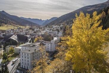 Waldhotel & Spa Davos   For Body & Soul