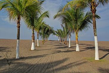Best Western Jaco Beach All Inclusive Resort