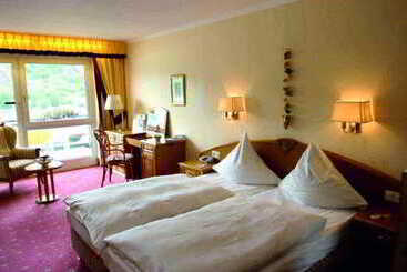 هتل Bellevue Rhein