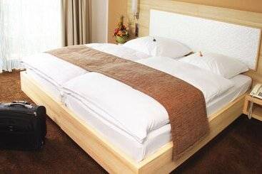 Отель Schutzenhof