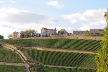 Schlosshotel Steinburg