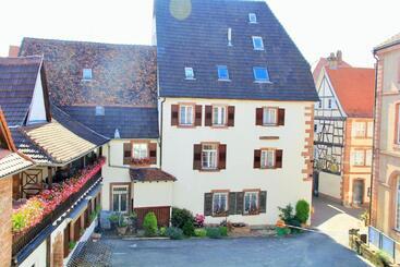 هتل Hostellerie Au Cygne