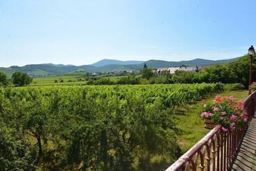 هتل Munsch Restaurant & Wellness, Colmar Nord   Haut Koenigsbourg