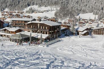 Chalet Hotel Crychar
