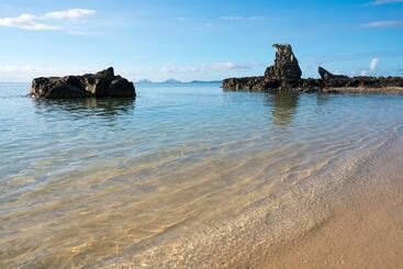 استراحتگاه Castaway Island, Fiji