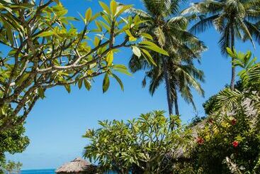 استراحتگاه Castaway Island, Fiji