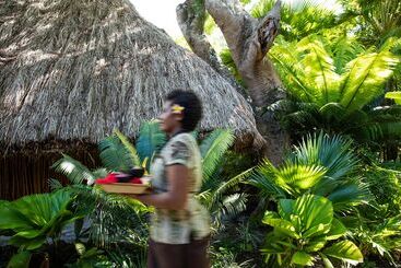 استراحتگاه Castaway Island, Fiji