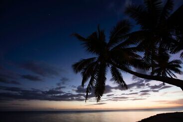 استراحتگاه Castaway Island, Fiji
