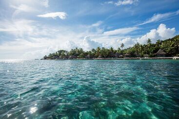 استراحتگاه Castaway Island, Fiji
