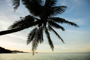 استراحتگاه Castaway Island, Fiji